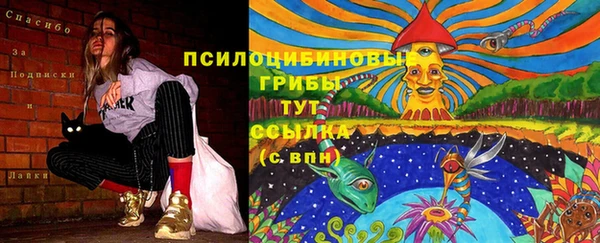 марихуана Абаза