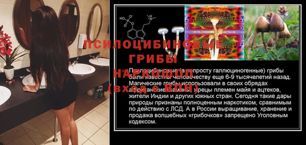 метадон Снежинск