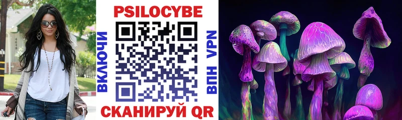Псилоцибиновые грибы GOLDEN TEACHER  Вичуга 
